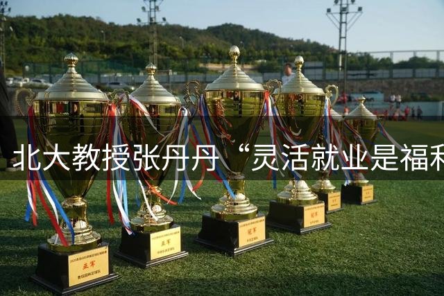北大教授张丹丹“灵活就业是福利，我们朝九晚五牺牲自由”引热议，胡锡进劝道歉，南大博士回怼